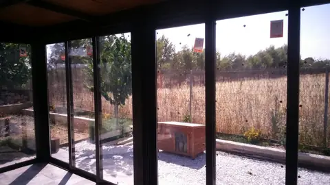 Cómo cerrar el patio y ganar 20 m² habitables